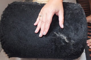 Como limpar os pêlos de gato? 9