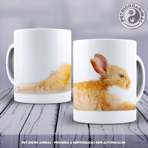 PBACAN 2001026c2a Caneca - Coelho Relaxado 1