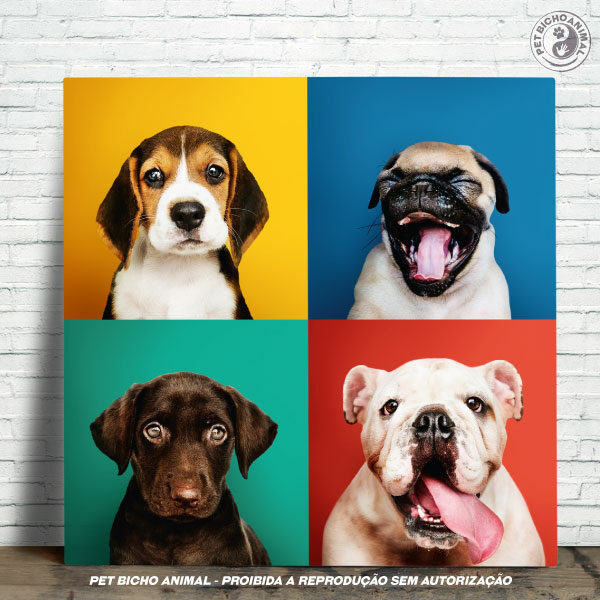 Azulejo Decorativo - Carinhas de Cães 20