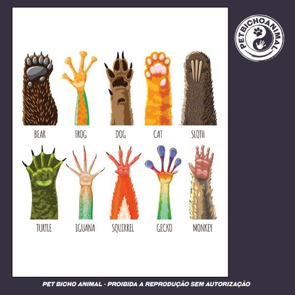 Camiseta - Somos Todos Iguais 1 Camiseta - Somos Todos Iguais 2