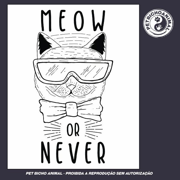 Camiseta - Meow Or Never - Imagem 3