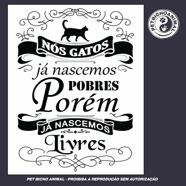 Camiseta - Saltimbancos 4 Camiseta - Saltimbancos - Imagem 2