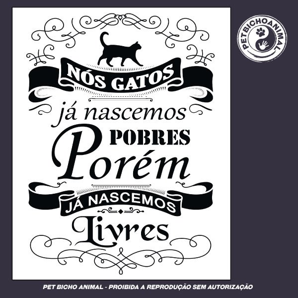 Camiseta - Saltimbancos 1 Camiseta - Saltimbancos 2