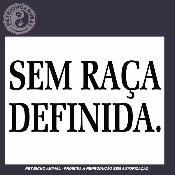 Camiseta - Sem Raça Definida - Imagem 3