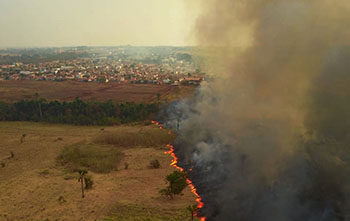 Pantanal sofre a maior devastação de sua história enquanto voluntários lutam para salvar os animais 6