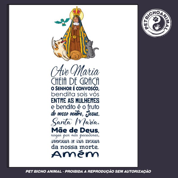 Camiseta - Nossa Senhora Aparecida – Padroeira do Brasil 3