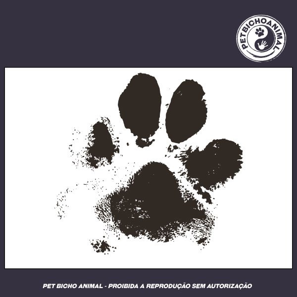 Camiseta - Marca de um Cão 2