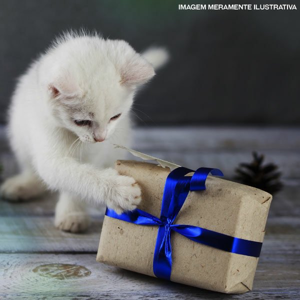 Embalagem para presente - Imagem 1