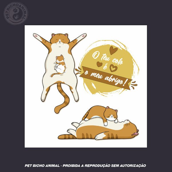 Almofada Teu Colo é o Meu Abrigo - Imagem 3