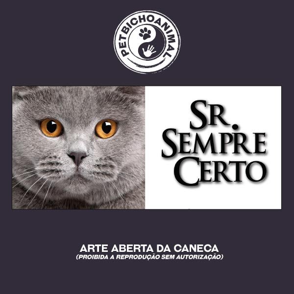 Caneca - Sr. Sempre Certo 3