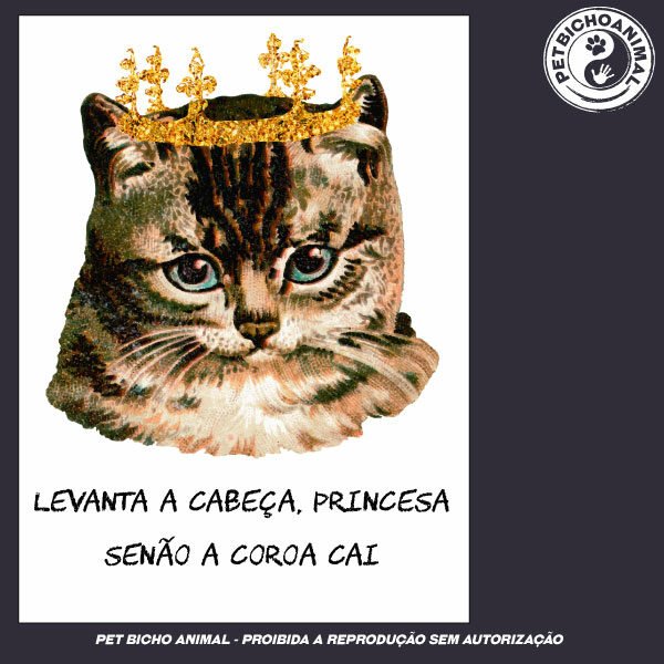 Camiseta - Não deixa a Coroa cair! - Imagem 3