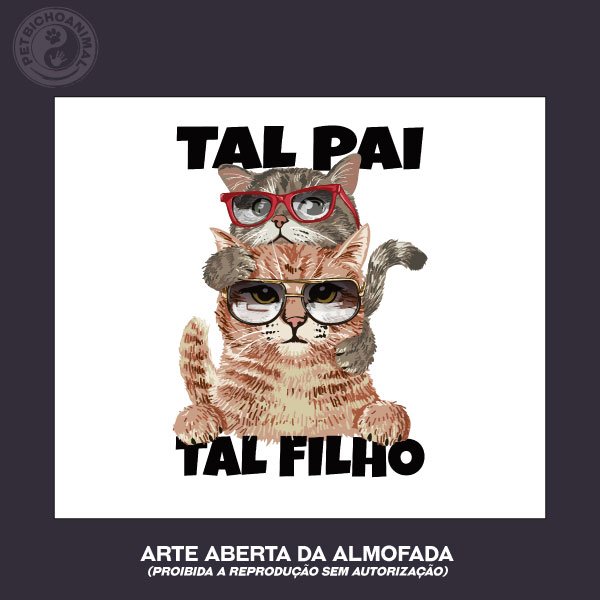 Almofada Tal Pai, Tal Filho 2 Almofada Tal Pai, Tal Filho 3