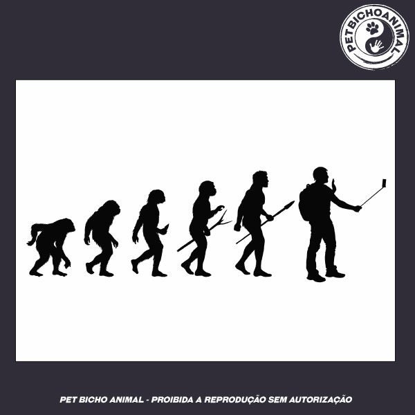 Camiseta - Onde Darwin Errou? - Imagem 3