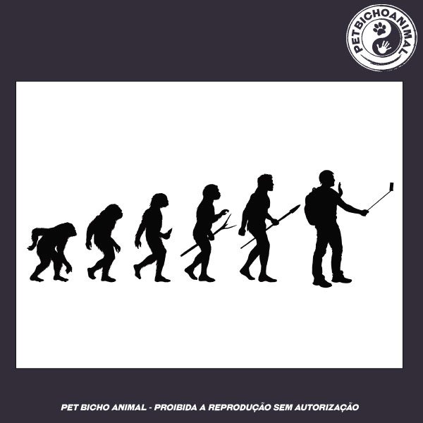 Camiseta - Onde Darwin Errou? 3