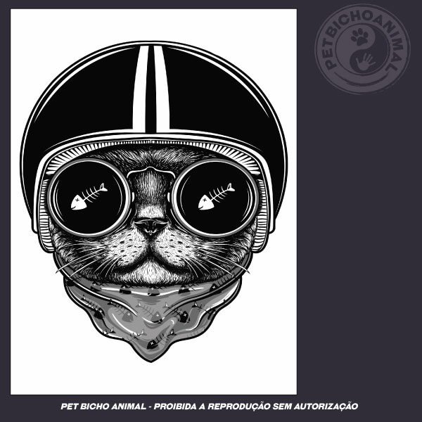 Camiseta - Gato Aviador - Imagem 3