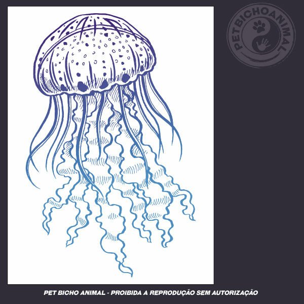 Camiseta - Medusa 5 Camiseta - Medusa - Imagem 3