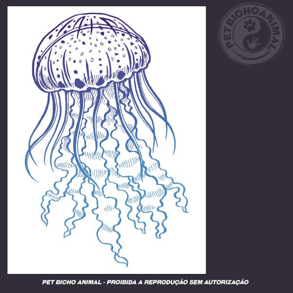 Camiseta - Medusa 2 Camiseta - Medusa 3
