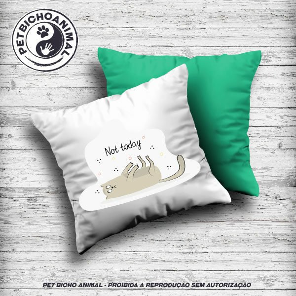 Almofada Hoje Não!