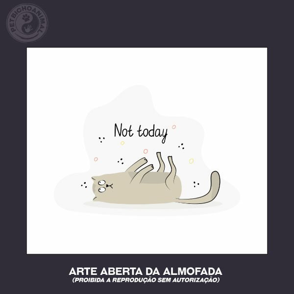 Almofada Hoje Não! 5 Almofada Hoje Não! - Imagem 3