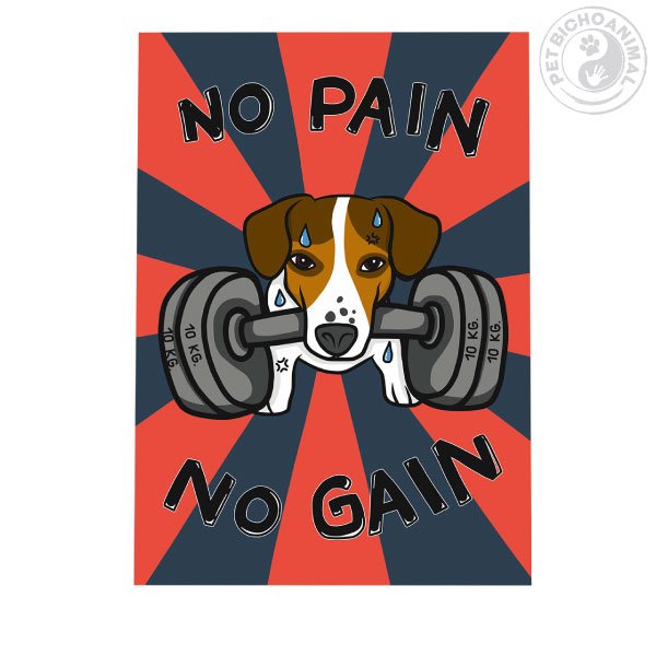 Quadro No Pain No Gain 1 Quadro No Pain No Gain 2