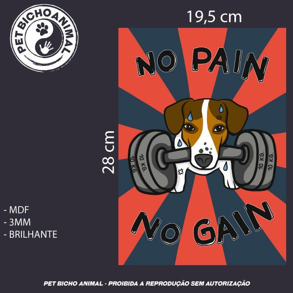 Quadro No Pain No Gain 5 Quadro No Pain No Gain - Imagem 3