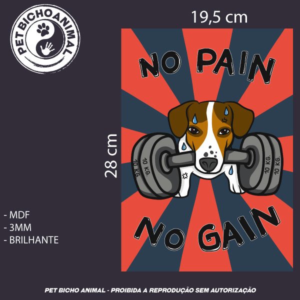 Quadro No Pain No Gain 2 Quadro No Pain No Gain 3